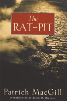 The Rat Pit