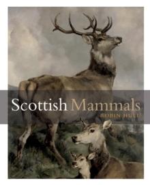 Scottish Mammals