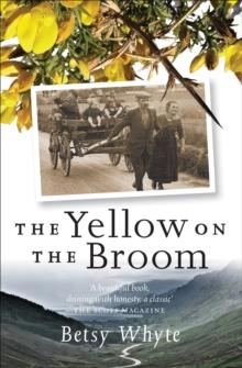 The Yellow on the Broom : The Early Days of a Traveller Woman