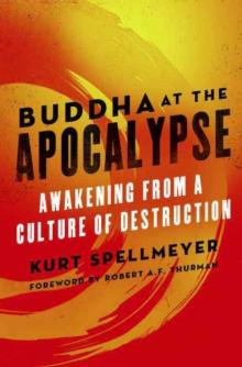 Buddha at the Apocalypse : Awakening from a Culture of Destruction