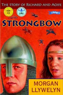 Strongbow : The Story Of Richard And Aoife