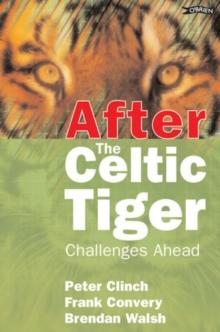 After the Celtic Tiger : Challenges Ahead