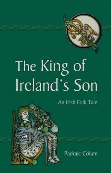 The King of Ireland's Son : An Irish Folk Tale