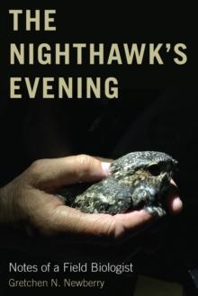 The Nighthawk's Evening : Notes of a Field Biologist