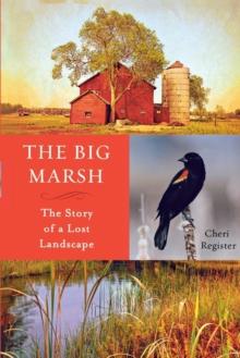 The Big Marsh : The Story of a Lost Landscape