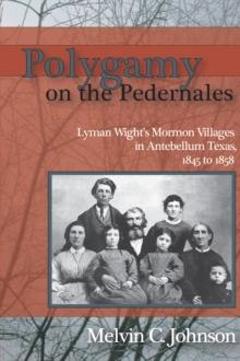 Polygamy on the Pedernales : Lyman Wight's Mormon Village in Antebellum Texas