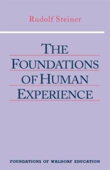 The Foundations of Human Experience