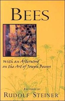 Bees : Nine Lectures on the Nature of Bees