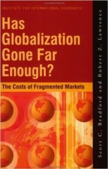 Has Globalization Gone Far Enough? : The Costs of Fragmented Markets