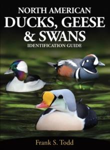 North American Ducks, Geese and Swans : identification guide