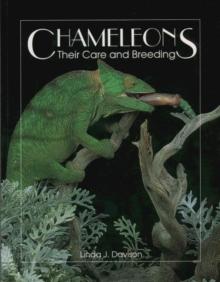 Chameleons : Their Care and Breeding