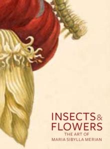 Insects and Flowers  The Art of Maria Sibylla Merian