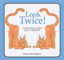 Look Twice : Use the Mirror to Find Pairs of Opposites