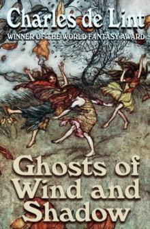 Ghosts of Wind and Shadow