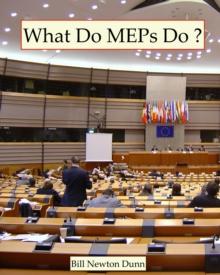 What Do MEPs Do ? : MEPs from 17 Countries Write About the 7th European Parliament