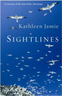 Sightlines