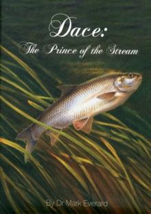 Dace : The Prince of the Stream