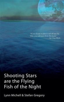 Shooting Stars Are The Flying Fish Of The Night