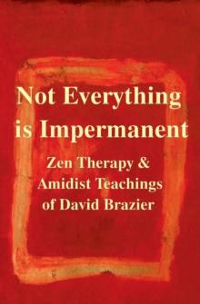 Not Everything is Impermanent : Zen Therapy & Amidist Teachings of David Brazier