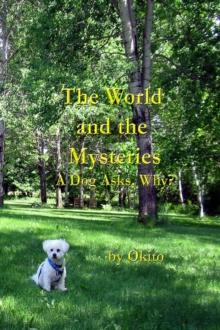 The World and the Mysteries : A Dog Asks, Why?