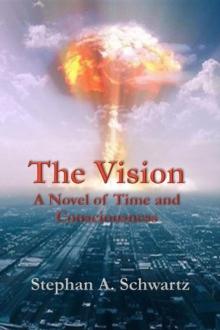 The Vision : A Novel of Time and Consciousness