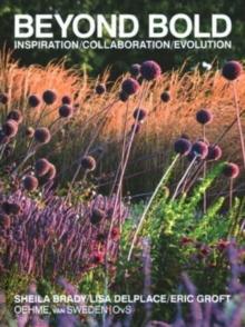 Beyond Bold: Inspiration, Collaboration, Evolution