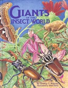 Giants of the Insect World