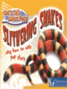 Slithering Snakes and How to Care for Them