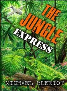 Jungle Express : Emerald World aviation adventures, #3