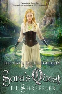 Sora's Quest (The Cat's Eye Chronicles #1) : The Cat's Eye Chronicles, #1