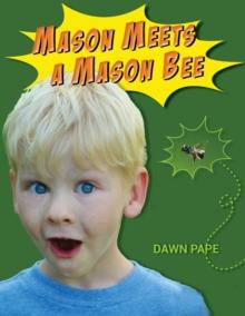 Mason Meets a Mason Bee : An Educational Encounter with a Pollinator