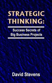 Strategic Thinking: success secrets of big business projects