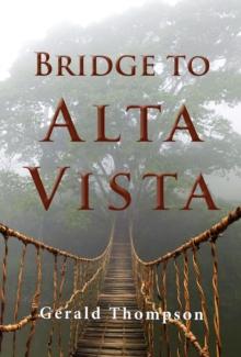 Bridge to Alta Vista