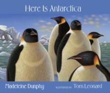 Here Is Antarctica