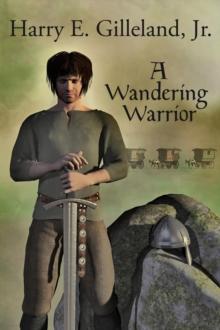 Wandering Warrior