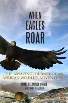 When Eagles Roar : The Amazing Journey of an African Wildlife Adventurer