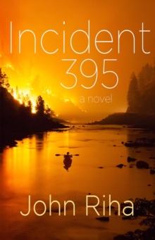 Incident 395