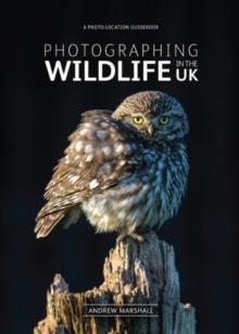 Photographing Wildlife in the UK : Where and How to Take Great Wildlife Photographs