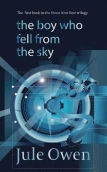 The Boy Who Fell from the Sky