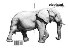 Elephant.