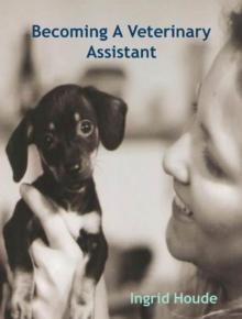 Becoming A Veterinary Assistant