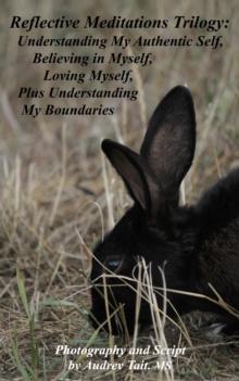 Reflective Meditations Trilogy : Understanding My Authentic Self, Believing in Myself, Loving Myself, Plus Understanding My Boundaries