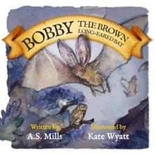 Bobby The Brown Long-Eared Bat