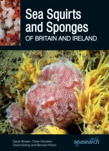 Sea Squirts and Sponges of Britain and Ireland