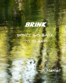 BRINK : Don't Go Back to Sleep