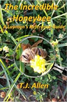 Incredible Honeybee: A Layman's Reference Guide