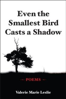 Even the Smallest Bird Casts a Shadow : Poems