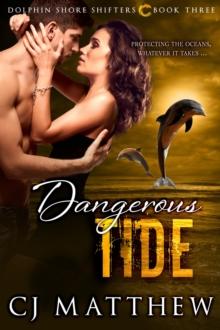 Dangerous Tide : Dolphin Shore Shifters Book 3