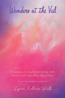 Wonders at the Veil : Creating a Living Relationship with Your Loved Ones Who Have Died