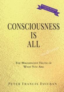 Consciousness Is All : The Magnificent Truth of What You Are